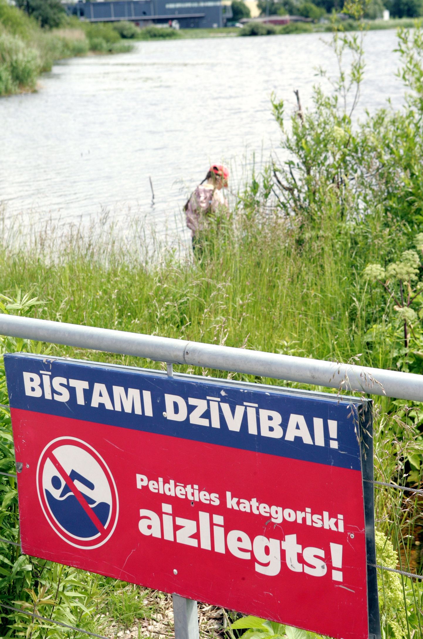 Uzraksts "Bīstami dzīvībai! Peldēties kategoriski aizliegts!" Daugavas krastā.