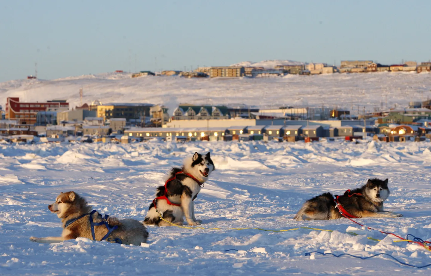Iqaluit