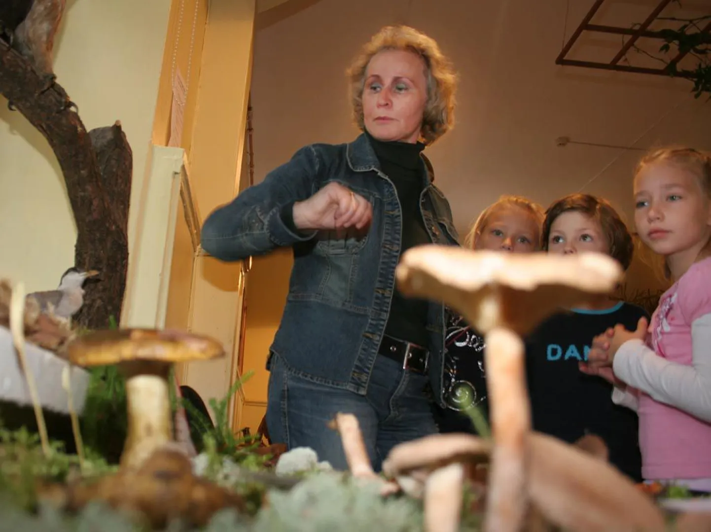 Pärnu aasta õpetaja Milvi Talts on aastaid peale töö loodusmajas valmistanud ette õpilasi olümpiaadideks, koostanud õppekollektsioone, korraldanud loodusteemalisi loenguid ja teemapäevi.