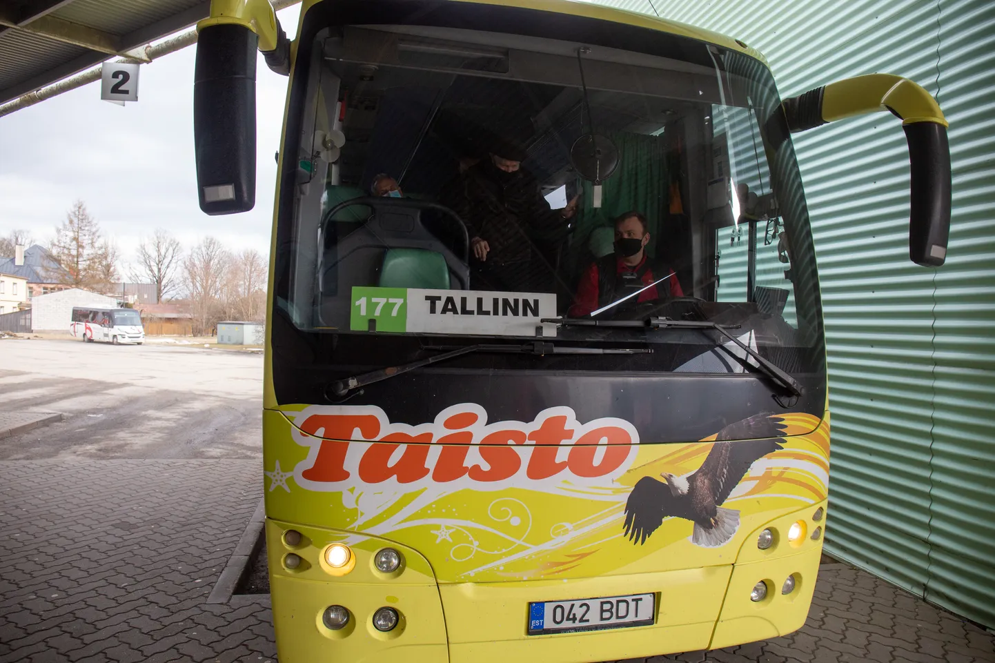 Taisto buss. Foto on illustreeriv.