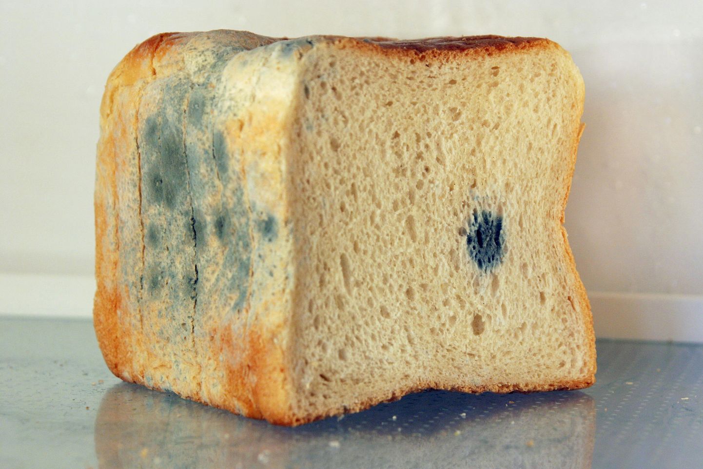 Заплесневелый хлеб. Фото иллюстративное.