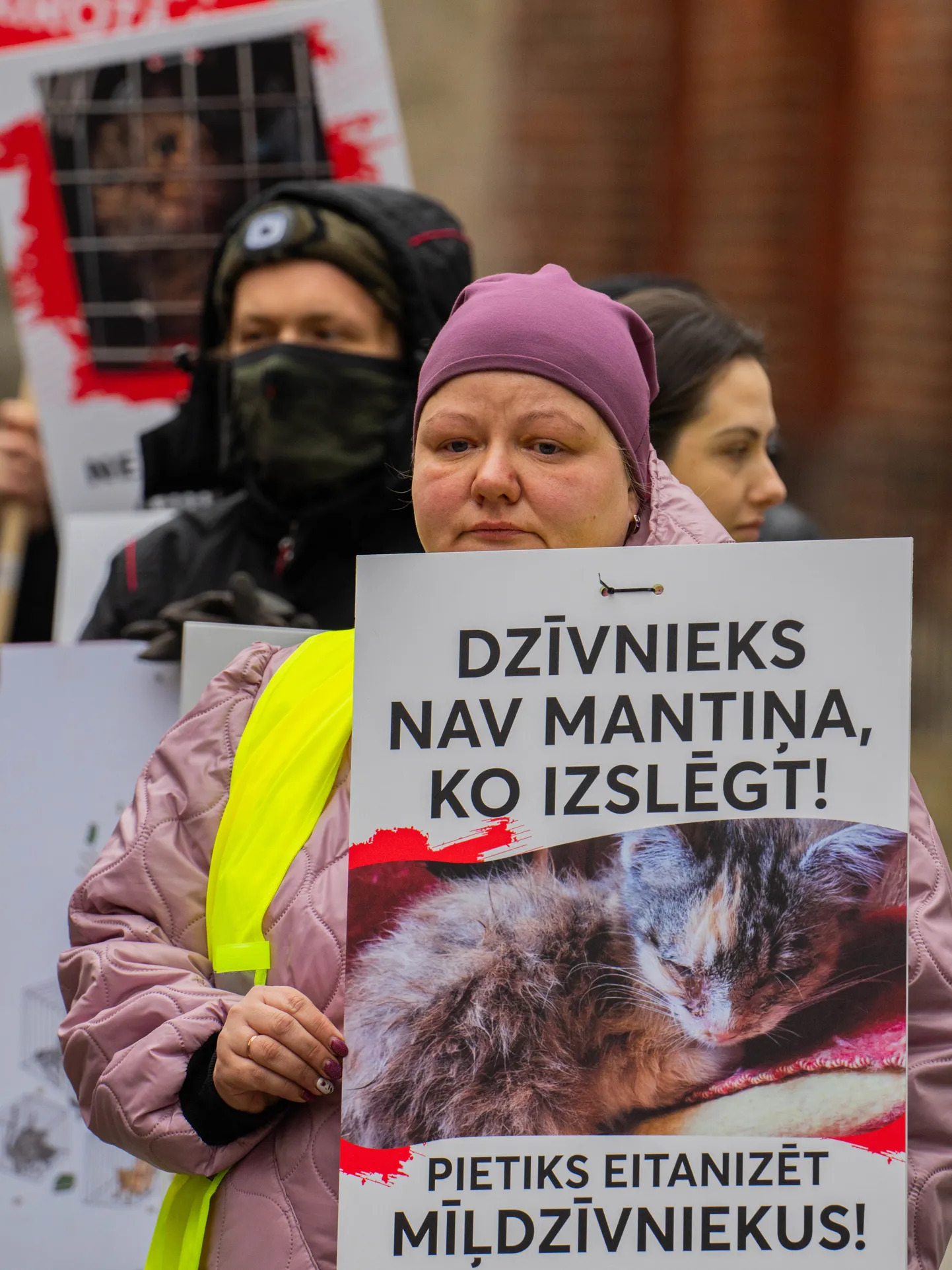 Ceturtdien pie Saeimas notiek pikets pret bezatbildīgu mājas dzīvnieku pavairošanu