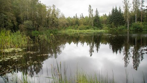 Valla kinnisvaraoksjonitel on ostjate torm raugenud
