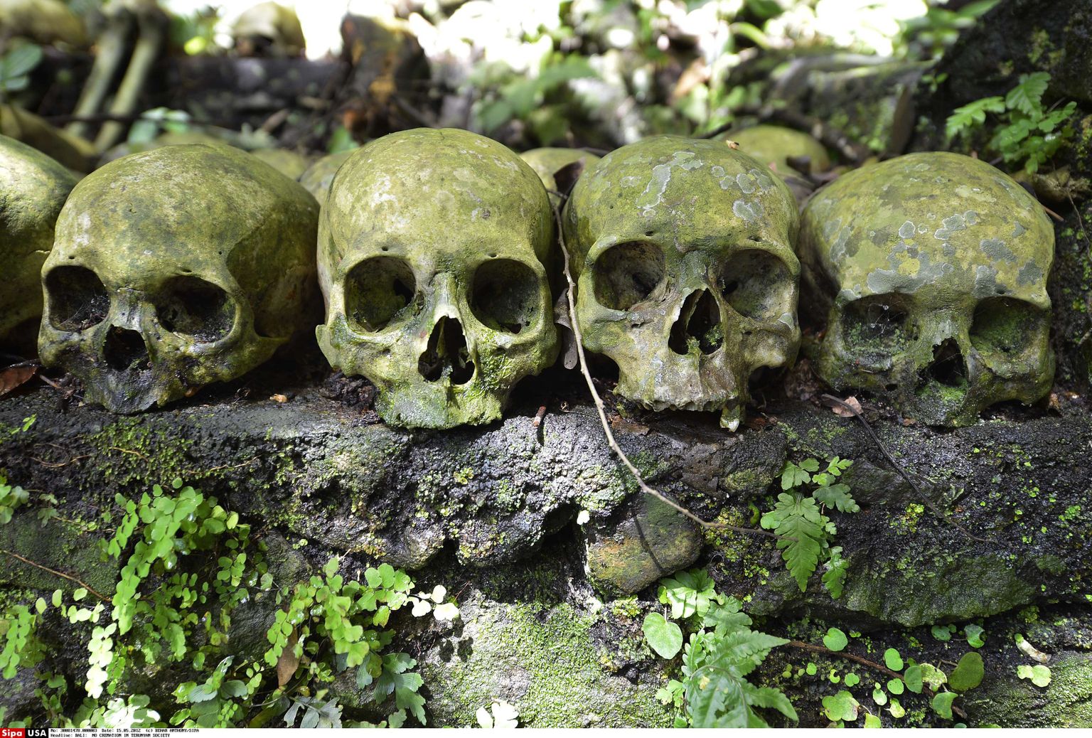 Bali saarel asuv surnuaed on tõenäoliselt üks maailma erilisemaid.