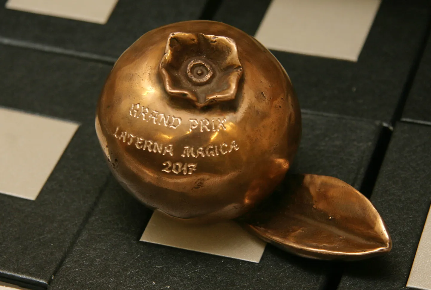 Бронзовая клюковка - гран-при конкурса любительского кино "Laterna Magica".