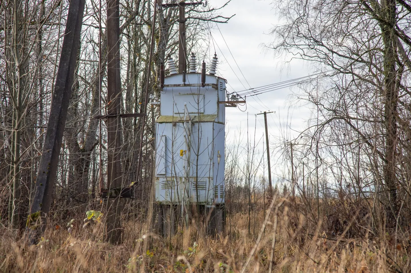 Tugev tuul põhjustab elektrikatkestusi.