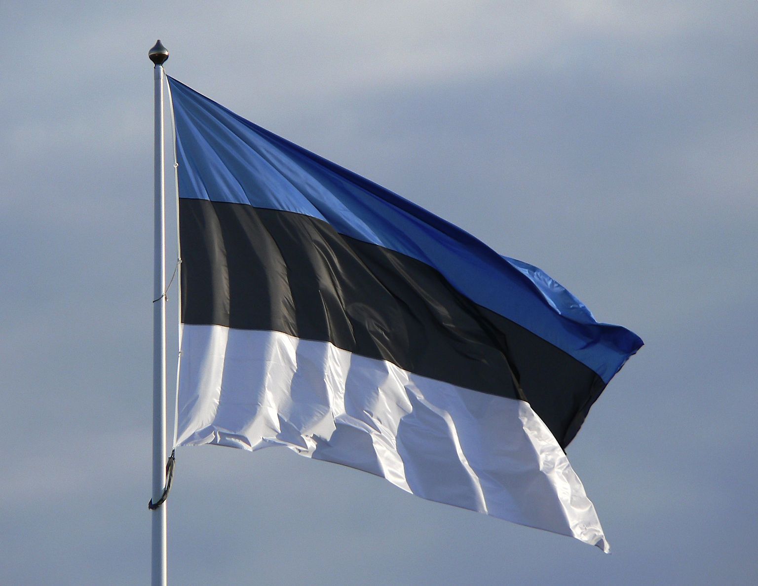 Эстонский флаг. Иллюстративное фото.