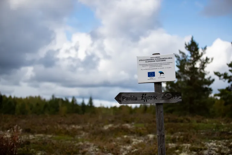 Põhja-Kõrvemaa, Harjumaa. Jussi loodusrada. 18.09.2019.