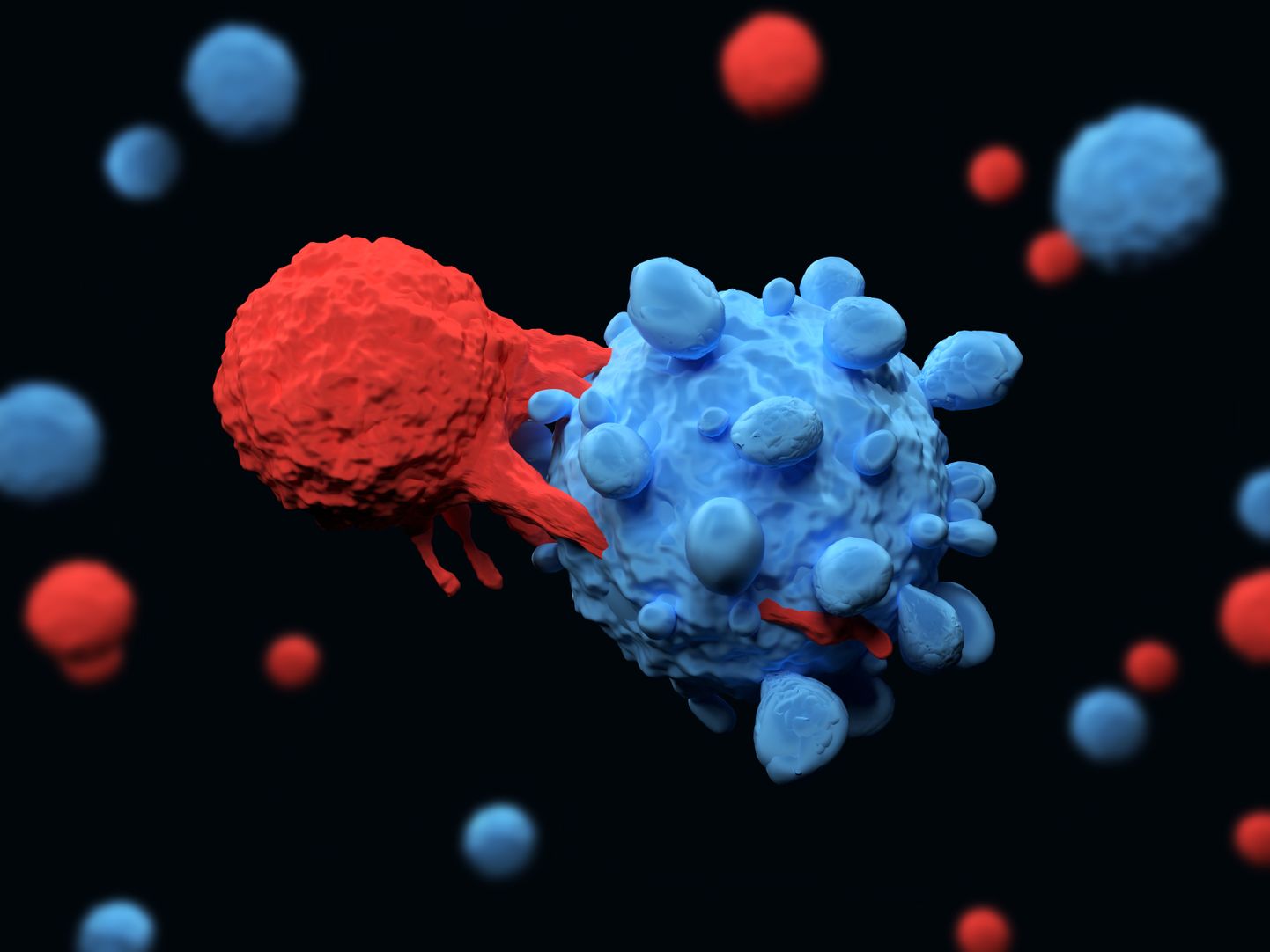 Immuunsüsteemi T-rakk, mida võib nimetada ka tapjarakuks (punane) patogeeni kahjutuks tegemas.
