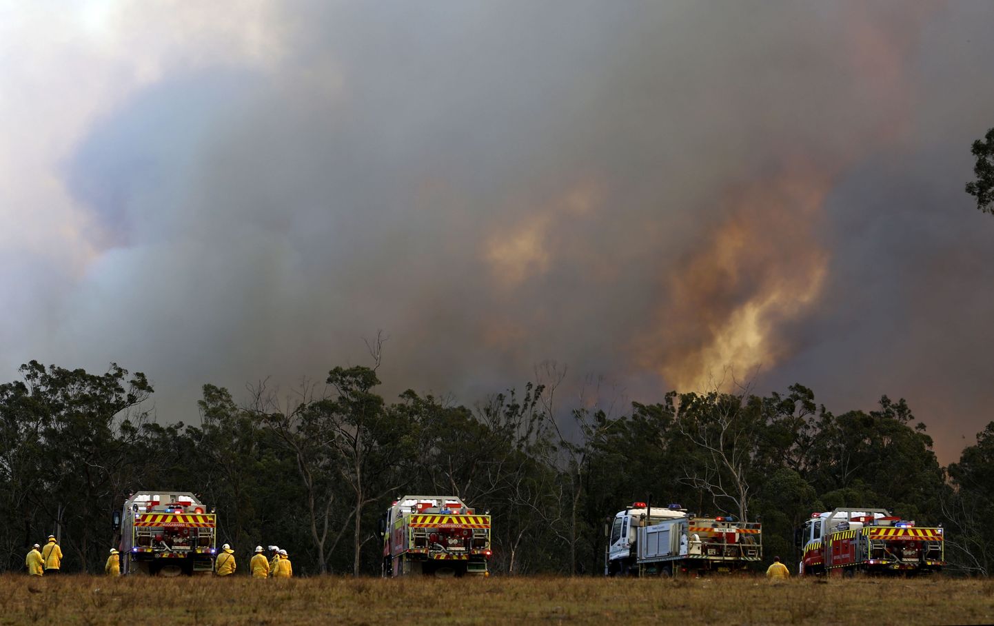 Kolm hukkunut, viis kadunut ja 150 maha põlenud maja - metsatulekahjud Uus-Lõuna Walesis on võtnud katastroofilised mõõtmed.