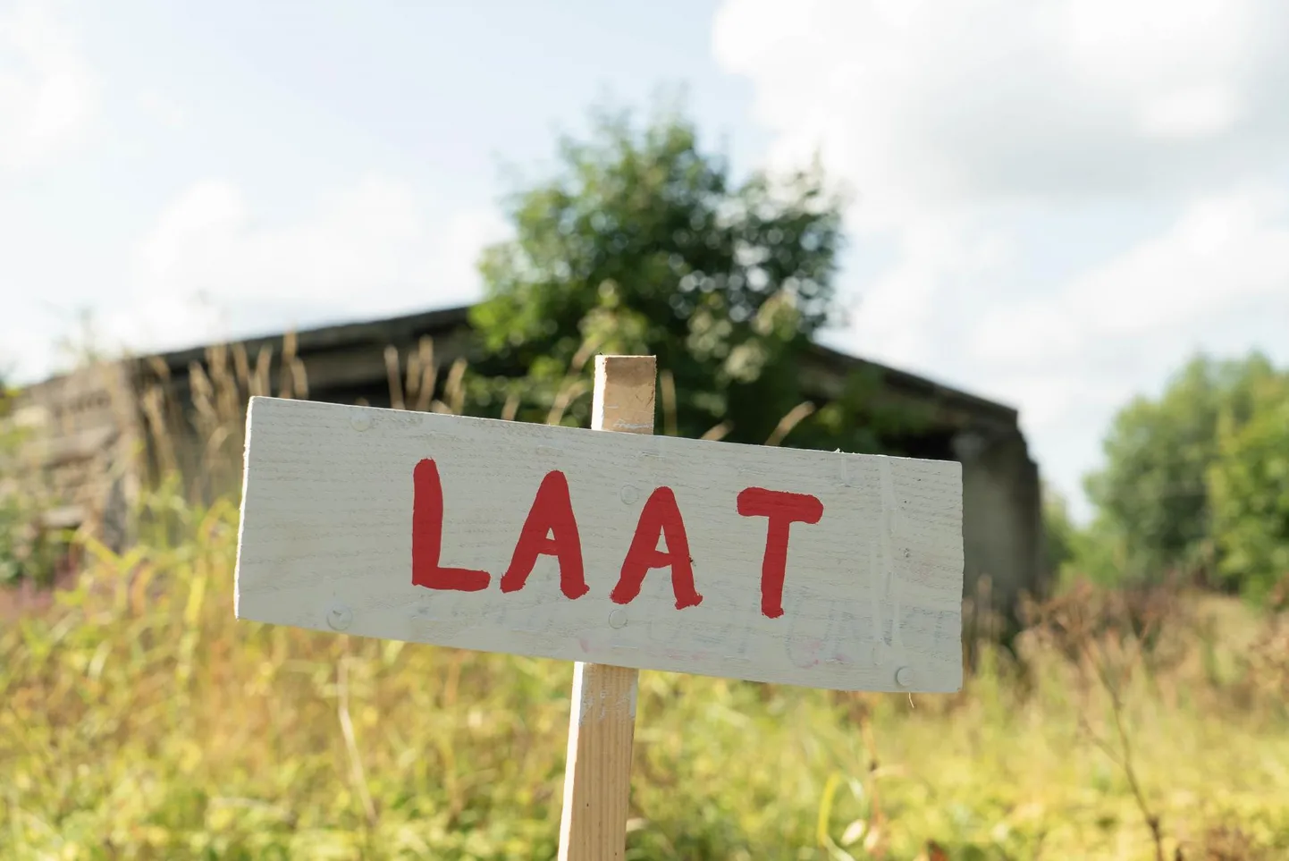 Suvisel laatade ajal kerkivad küsimused, kas välilettidel toidu müüjad täidavad kõiki toiduohutusnõudeid ning kauplemine on ikka maksuseadustega kooskõlas.