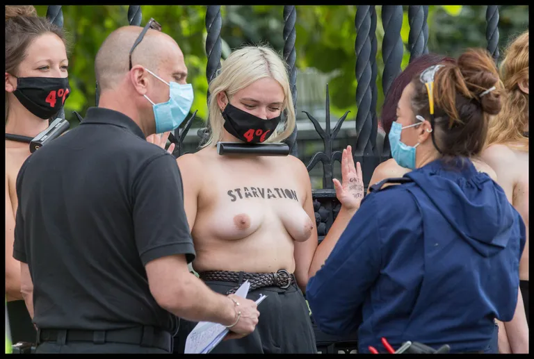 Protestija Westminsteri juures.