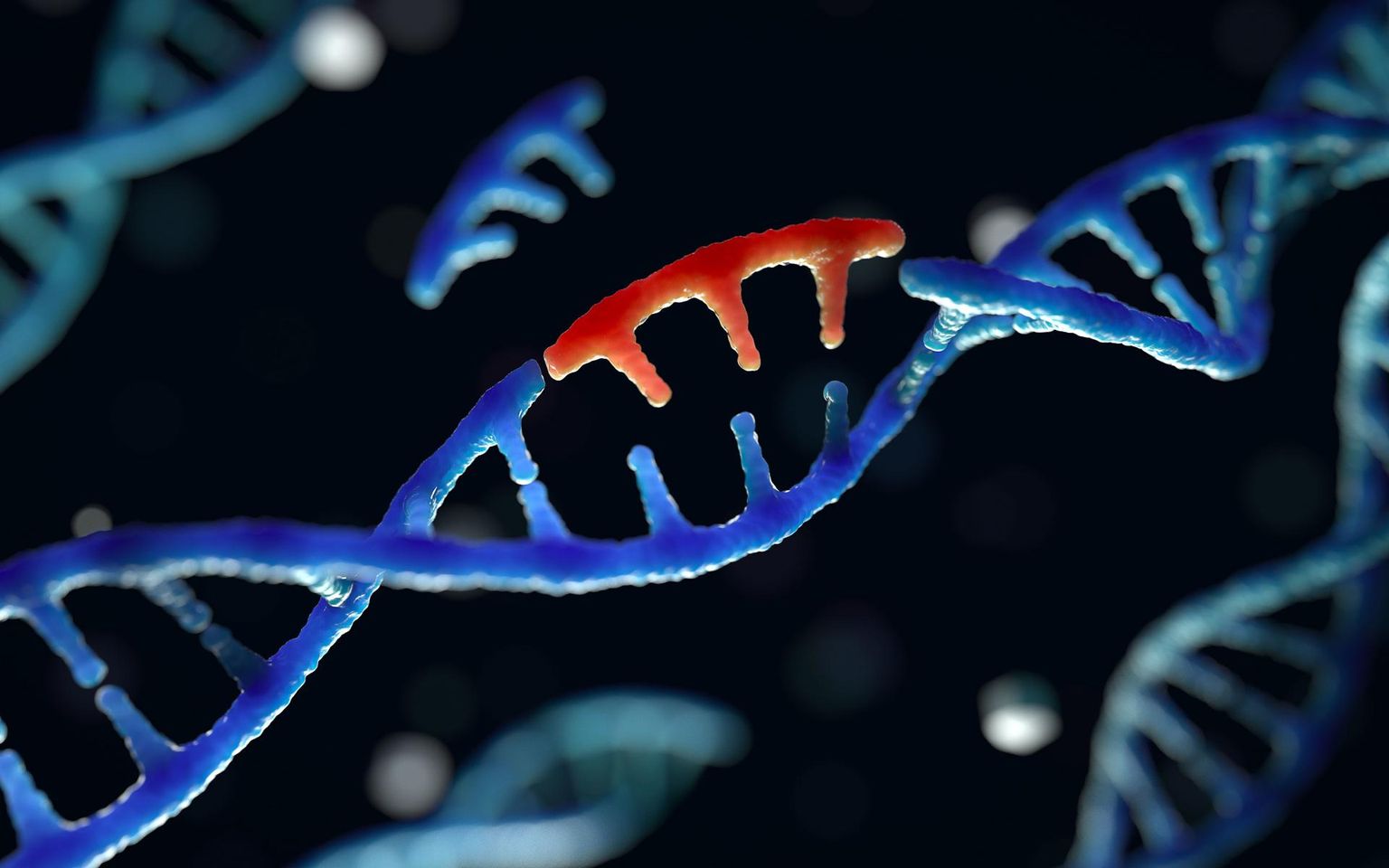 DNA, geenid