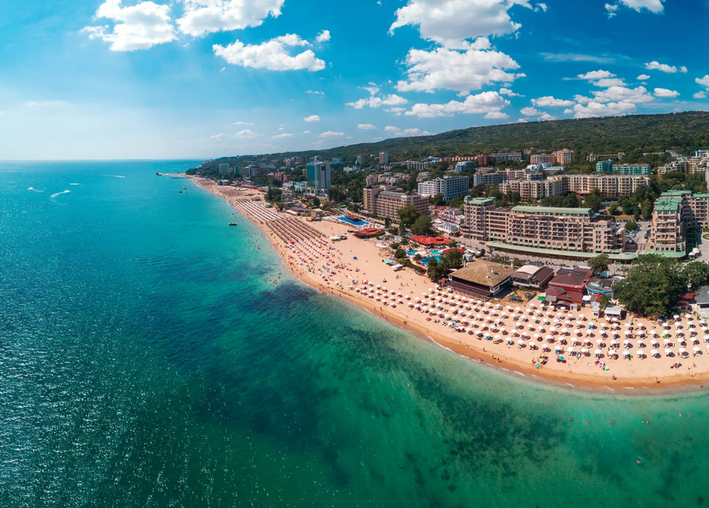 Artikli foto