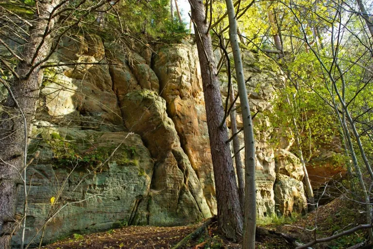 Фото статьи