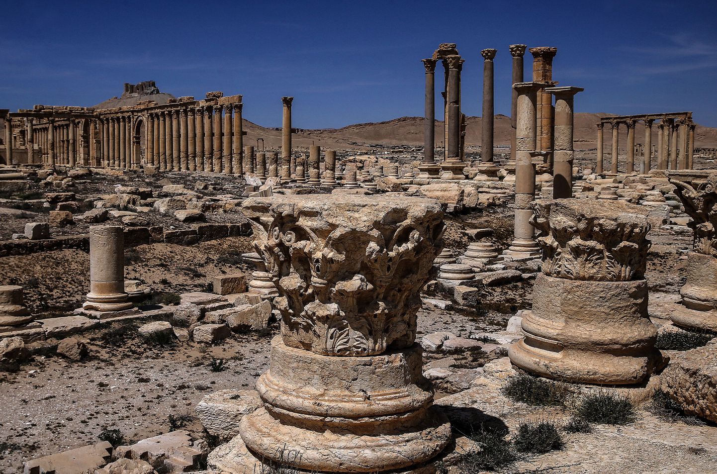 Palmyra Suur Kolonnaad