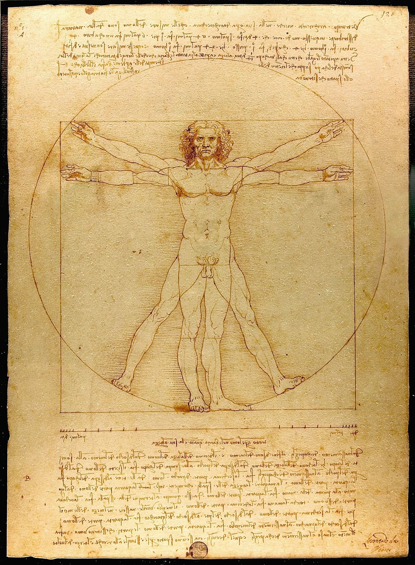 Leonardo da Vinči "Vitrūvija cilvēks".