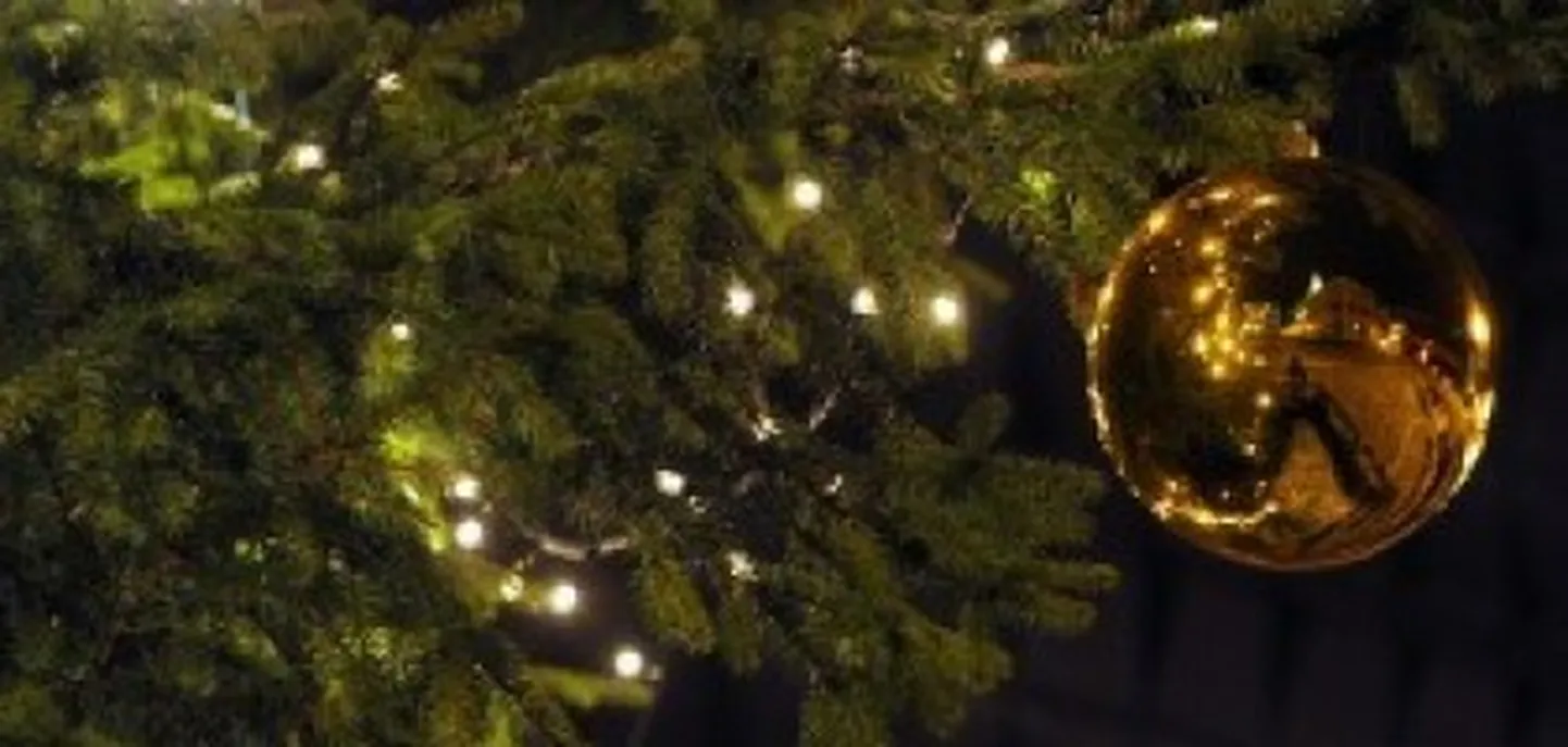 Raksta foto