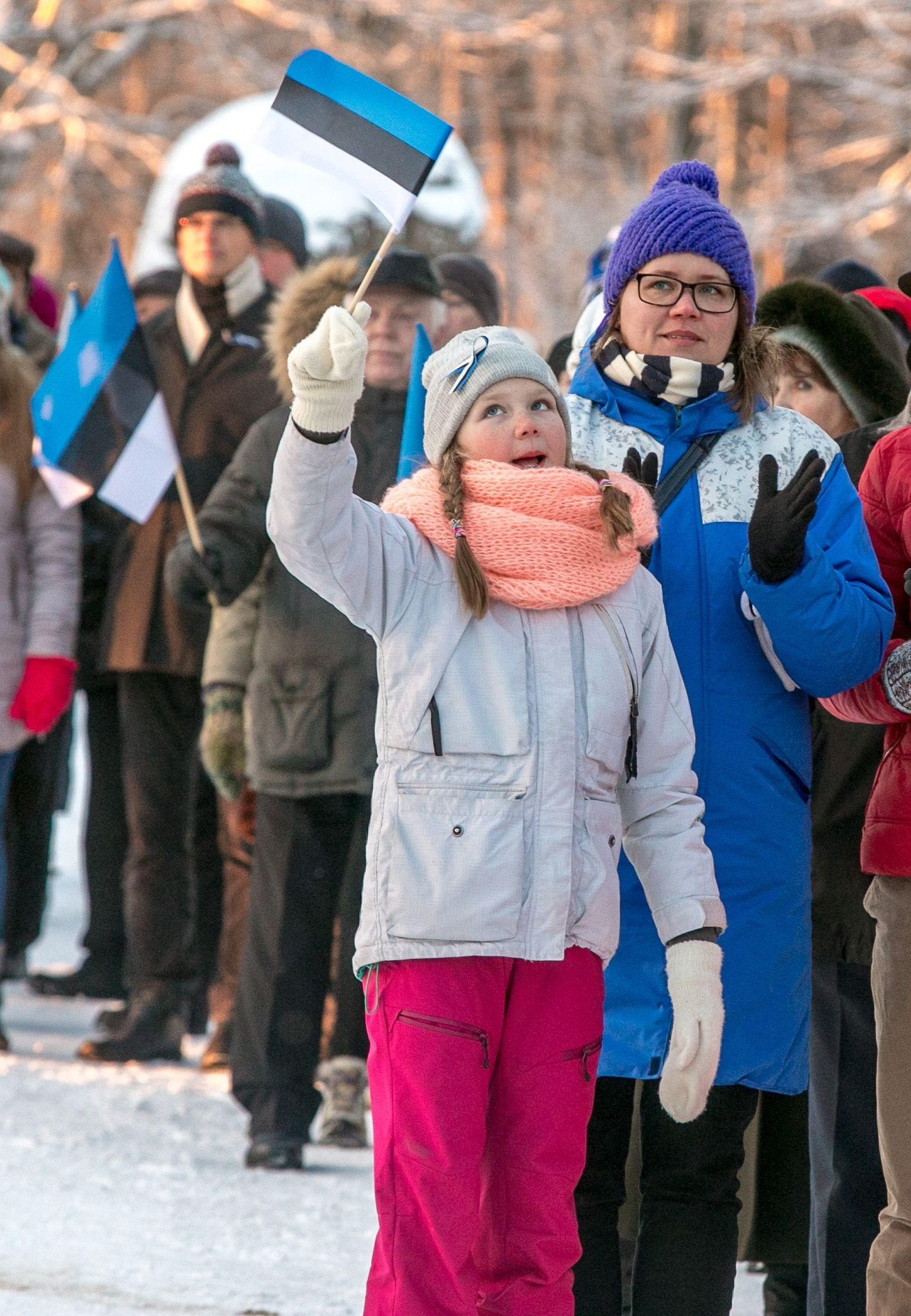 Люди с флагами Эстонии.