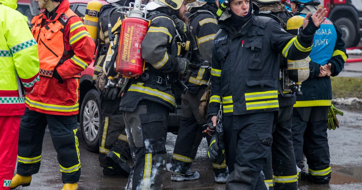 Miks pole tark vaid kõrge palgaga inimesi tööle meelitada?
