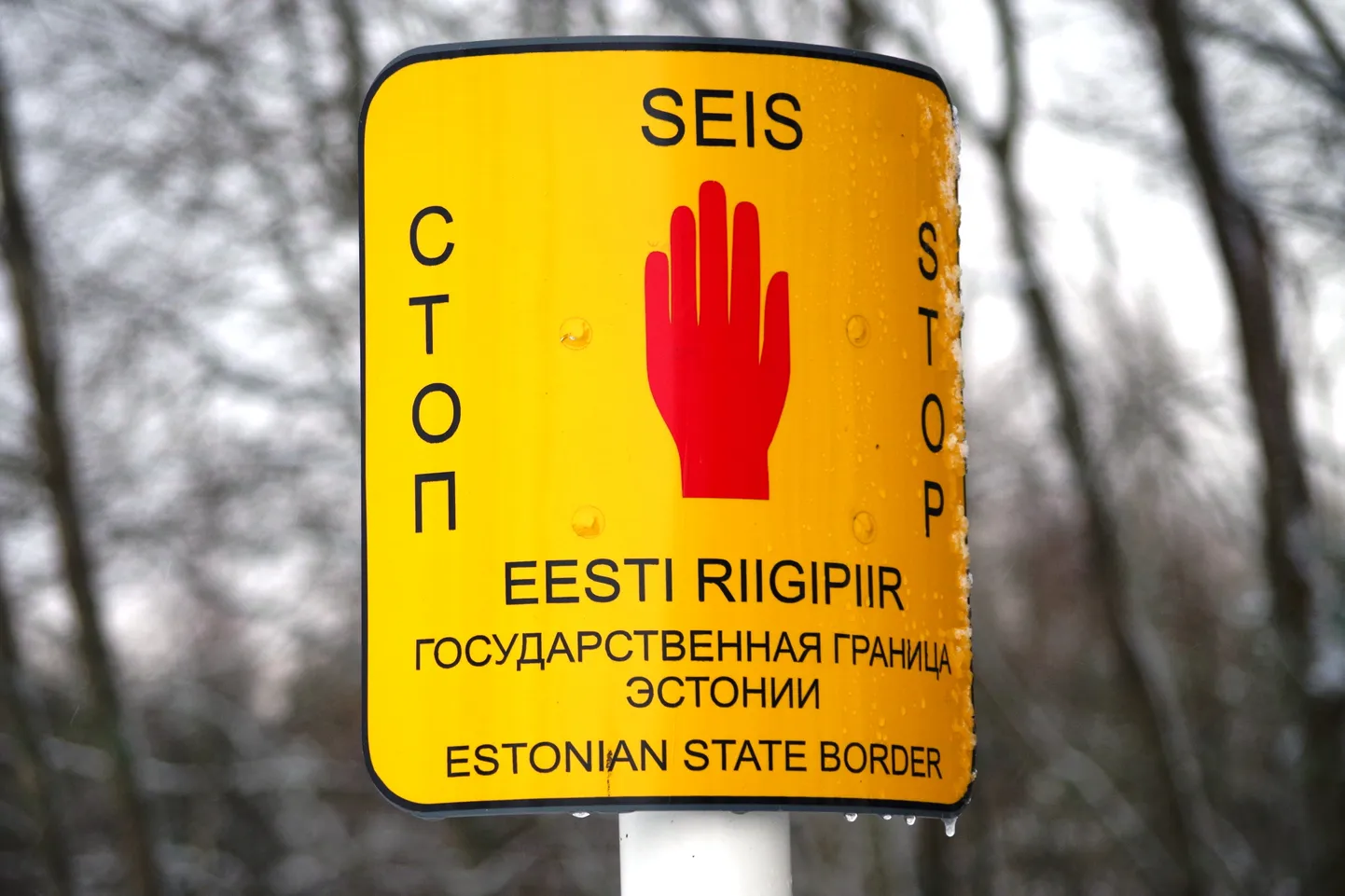 Eesti idapiir.
Foto: Arved Breidaks / LEPM