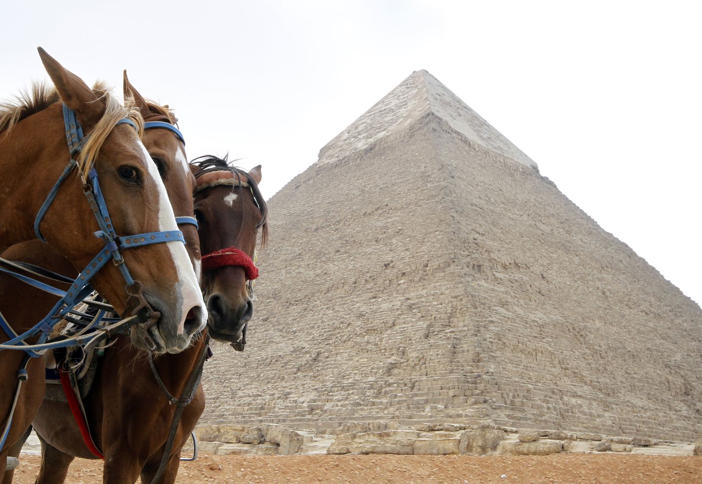 Giza platool asuv Suur ehk Cheopsi püramiid