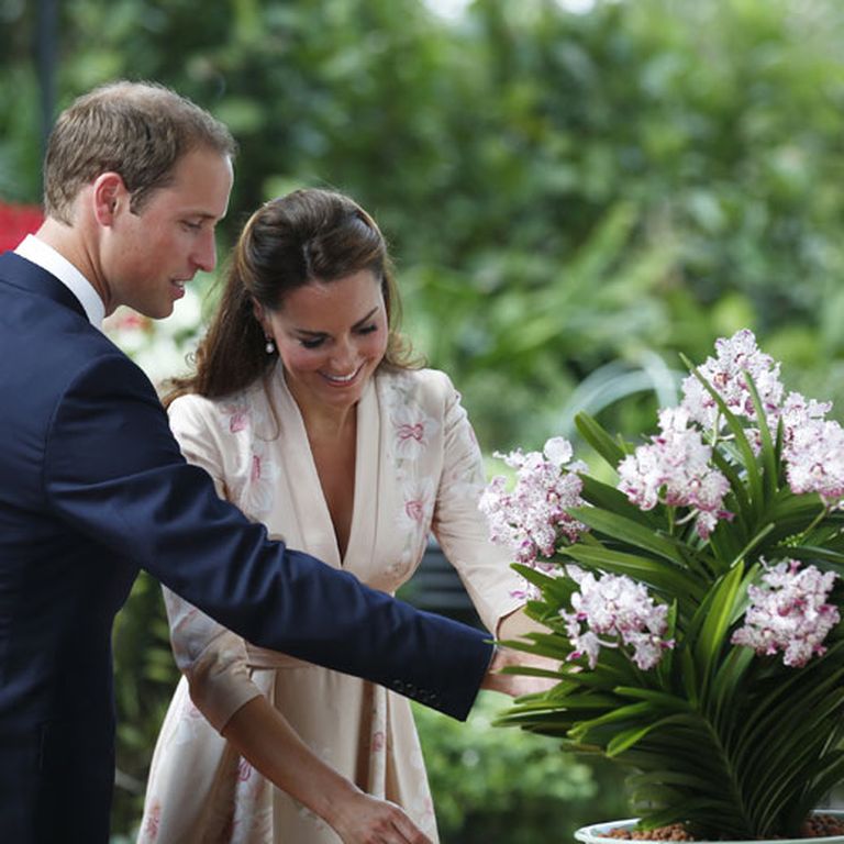 Princis Viljams un hercogiene Ketrīna aplūko orhideju, kas nosaukta viņu vārdā 