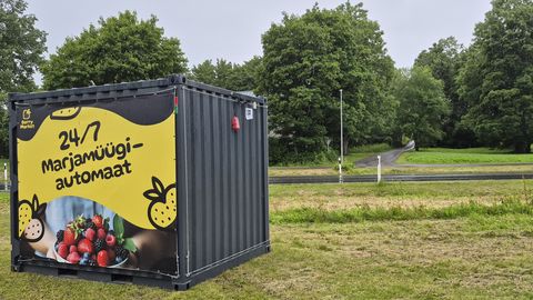 Kahe linna vahel avaneb marjasõprade müügipunkt
