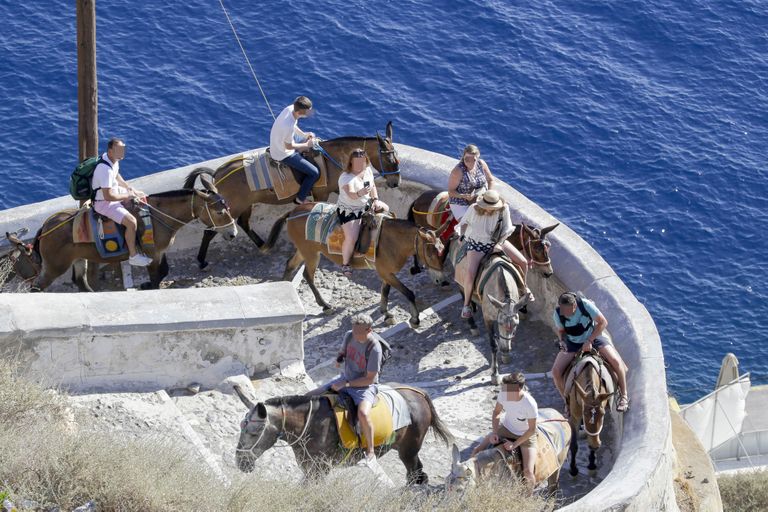 Santorini 2018: eeslisõitu nautivad turistid. Alates 2018. aastast on seadusega keelatud Santorini eeslite selga lubada raskemat inimest kui 100 kilogrammi või üks viiendik looma kehakaalust.