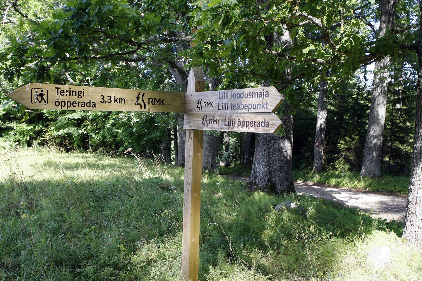 Eesti ja Läti orienteerumisliidu ühine võistlussari jätkub eeloleval nädalavahetusel kahepäevase mõõduvõtuga Viljandimaal Lillis.