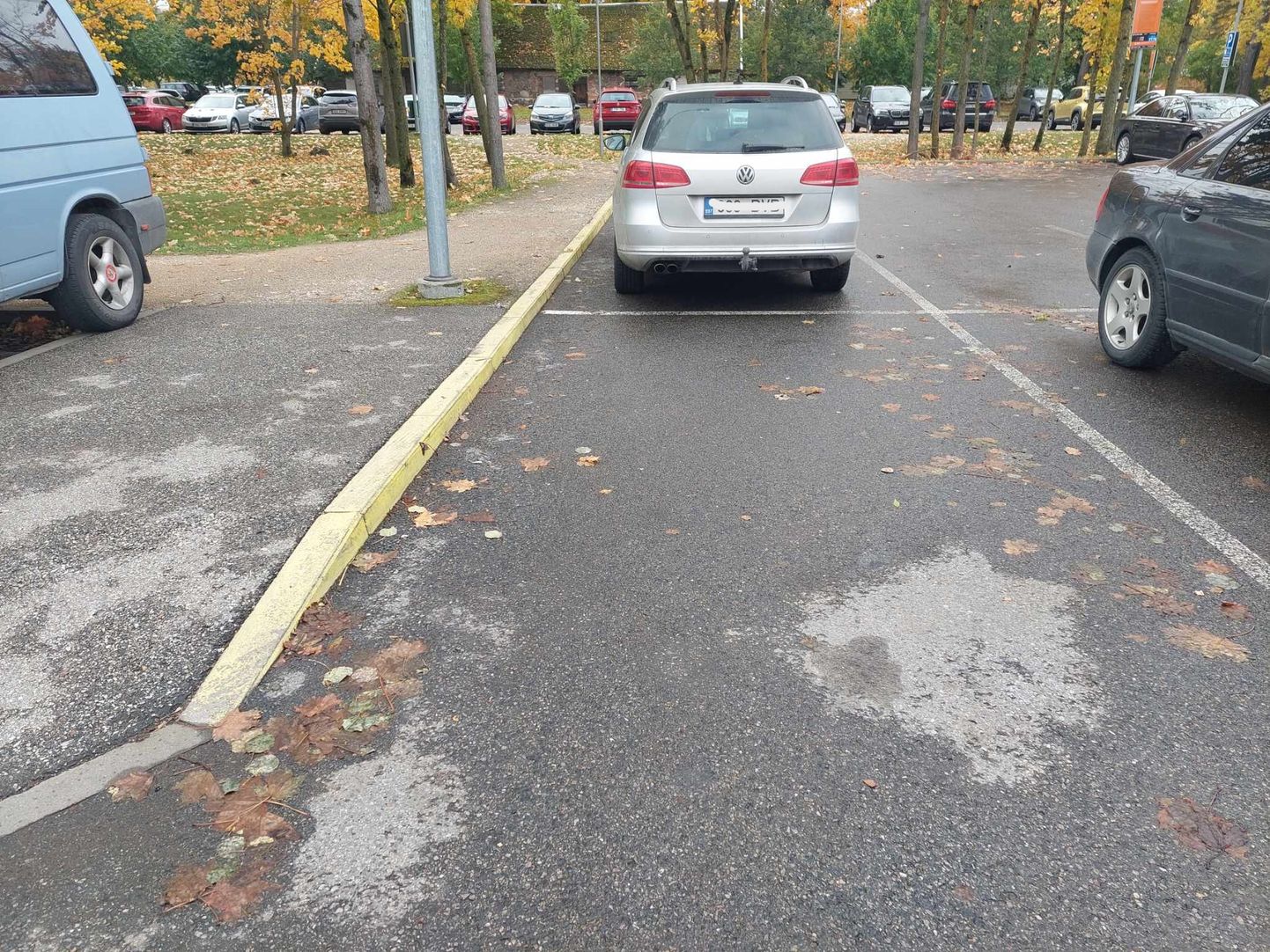 Tohib parkida või ei? Kollaseks võõbatud äärekivi parkimiskoha kõrval tekitav segadusi.