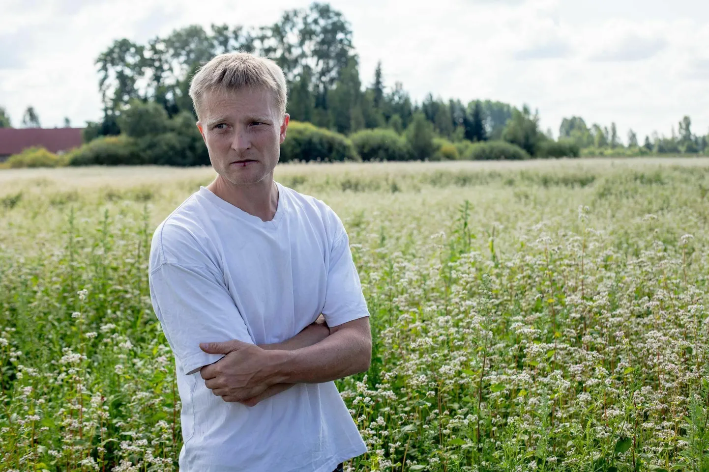 Raplamaa lõunaservas Leibre külas tatra kasvatamise ja töötlemisega tegeleva Tõrvaaugu talu eestvedaja Janek Kuusik usub tatrakasvatuse tulevikku. FOTO: Tiit Efert