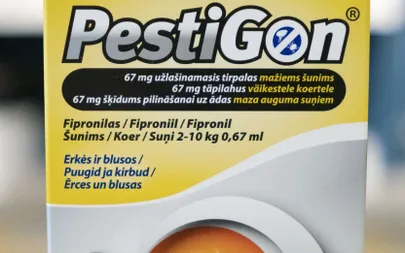 Raksta foto