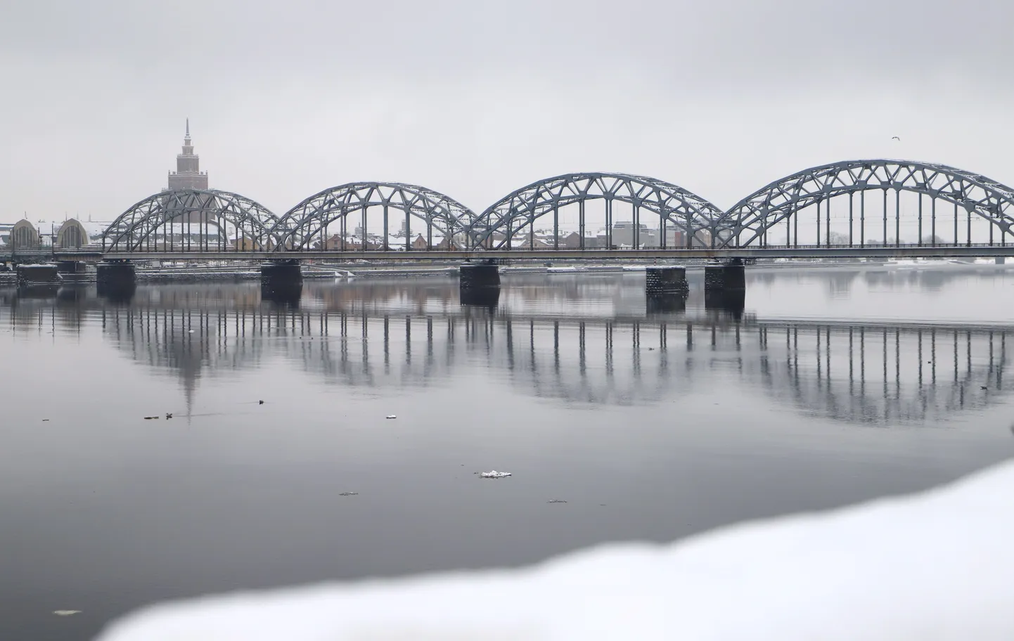 Фото статьи