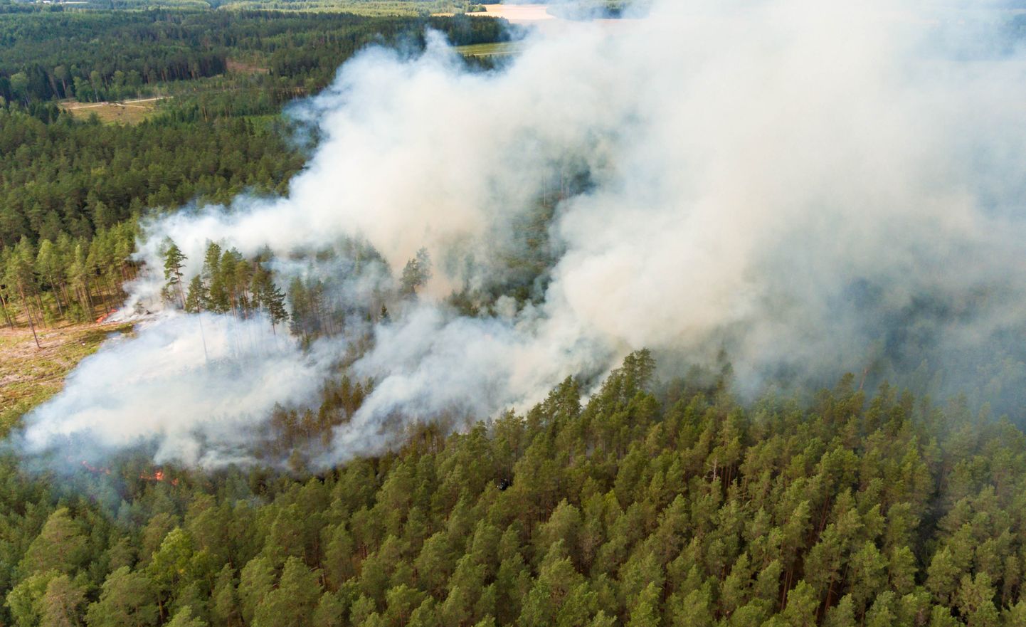 Metsapõlenguid oli tänavu ohtralt ka Lõuna-Eestis.