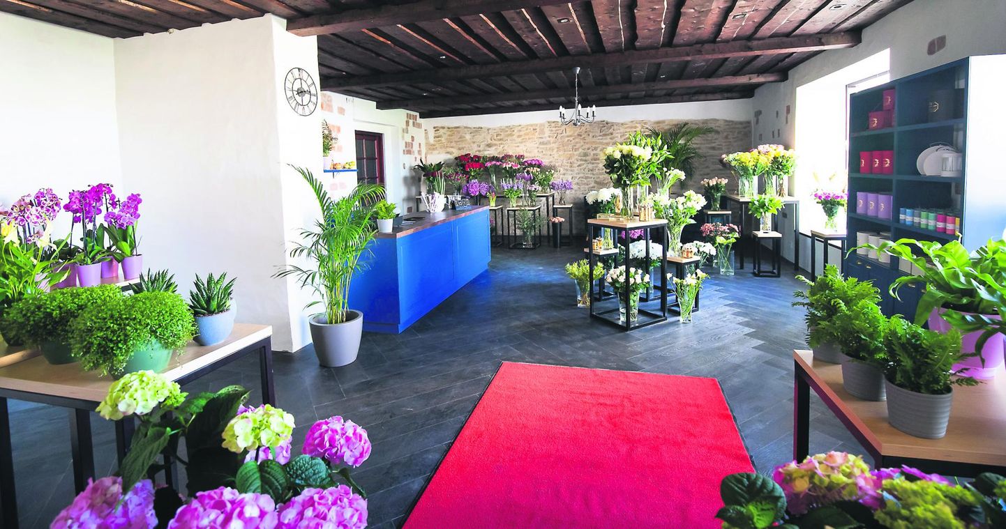 Lillestuudio perenaine Kädi Kokk on ruumidega väga rahul – jahedus sobib lilledele ning avarus ja suured vaateaknad talle.