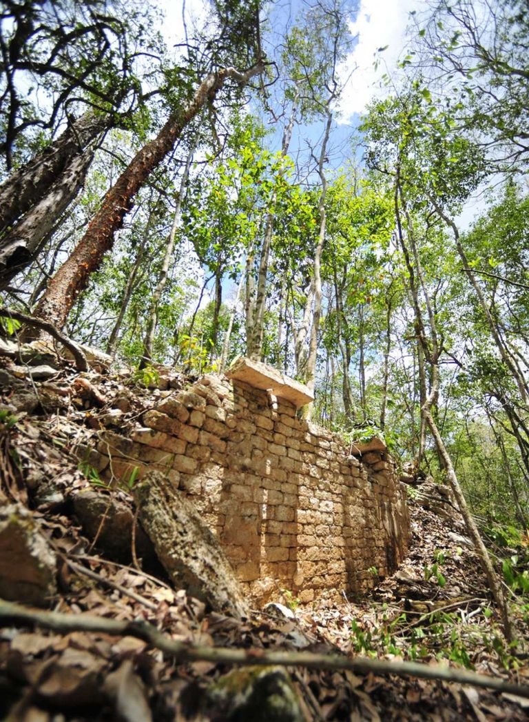 Maiade ehitise jäänused džunglis / Handout/Reuters/Scanpix