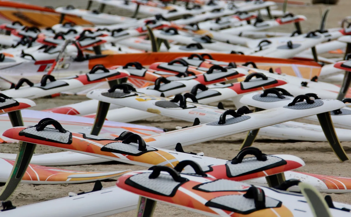 Techno 293 klassi purjelauad Pirita Surfiklubis