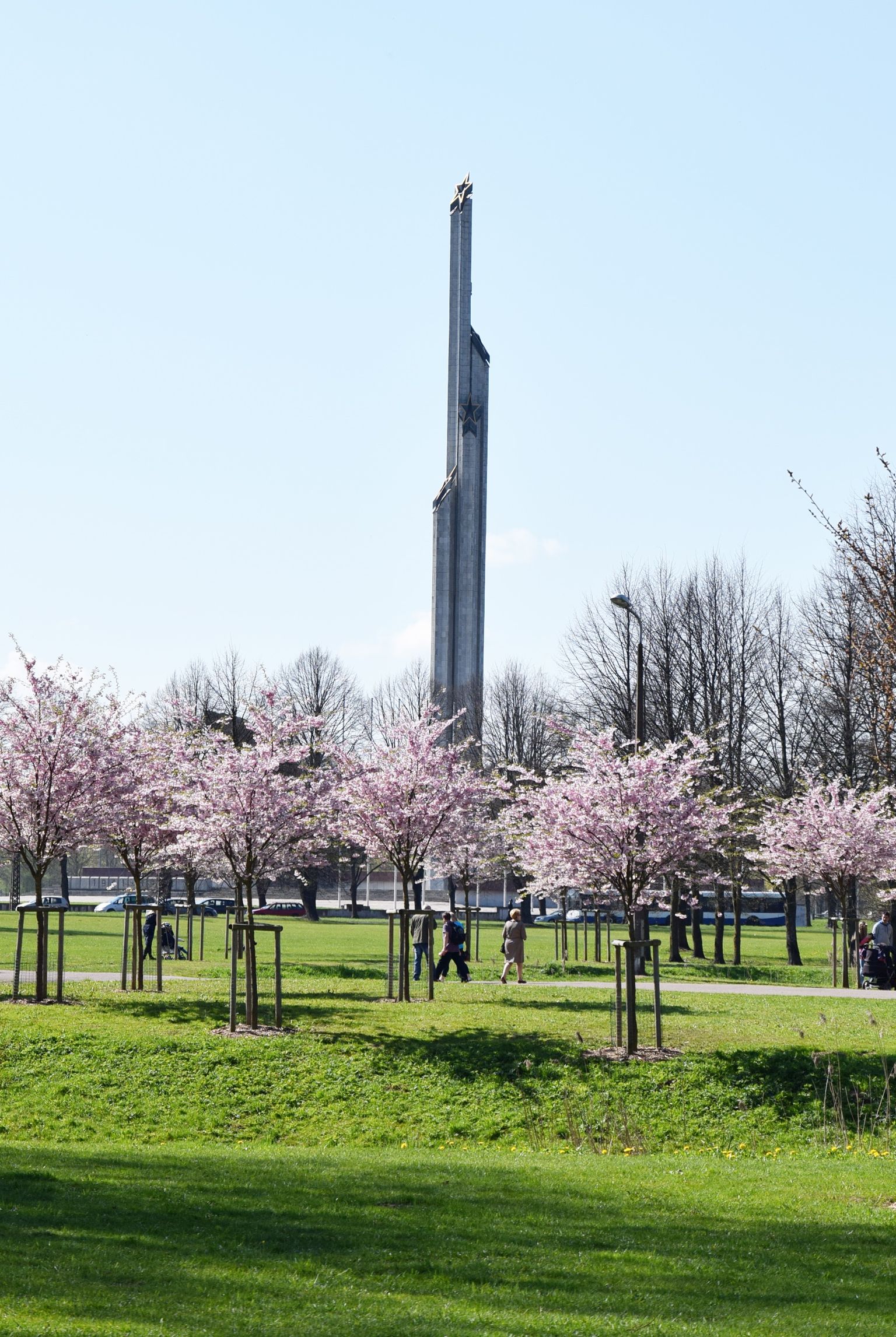 Ziedošās sakuras un piemineklis Uzvaras parkā.