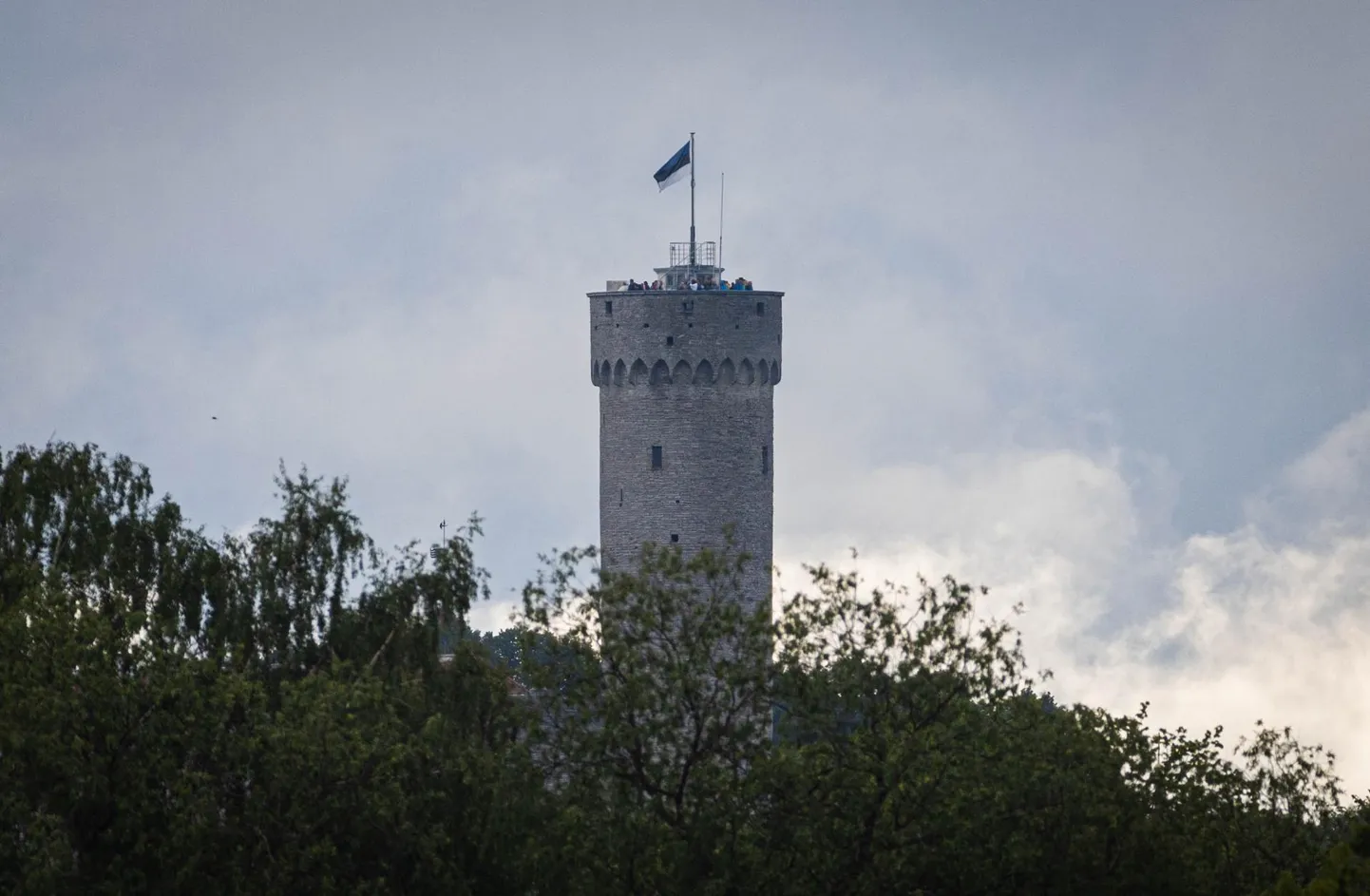Tänavuse peo esimesel hommikul assisteerivad Pika Hermanni tornis lipuheiskamist noortepeol osalevad lauljad, tantsijad ning rahvamuusikud.