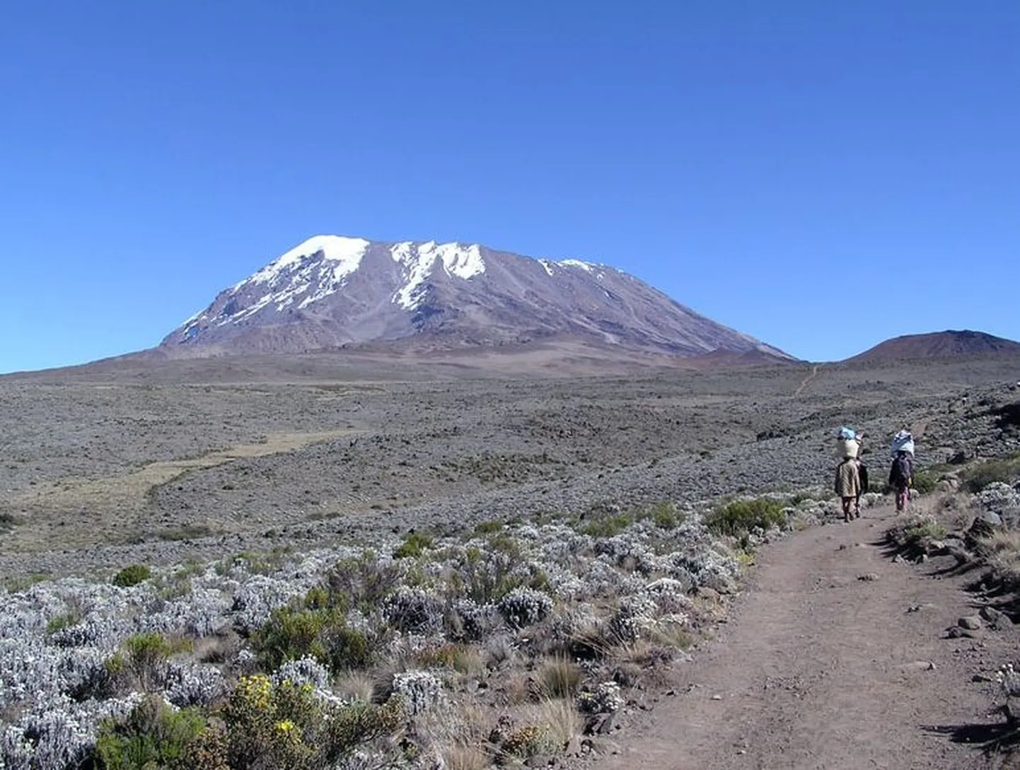 Kilimanjaro