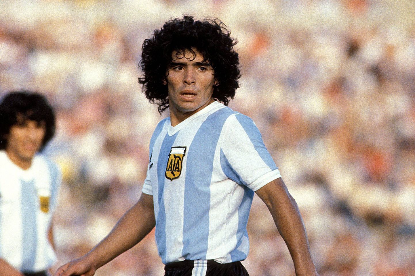 Diego Armando Maradona (1981).