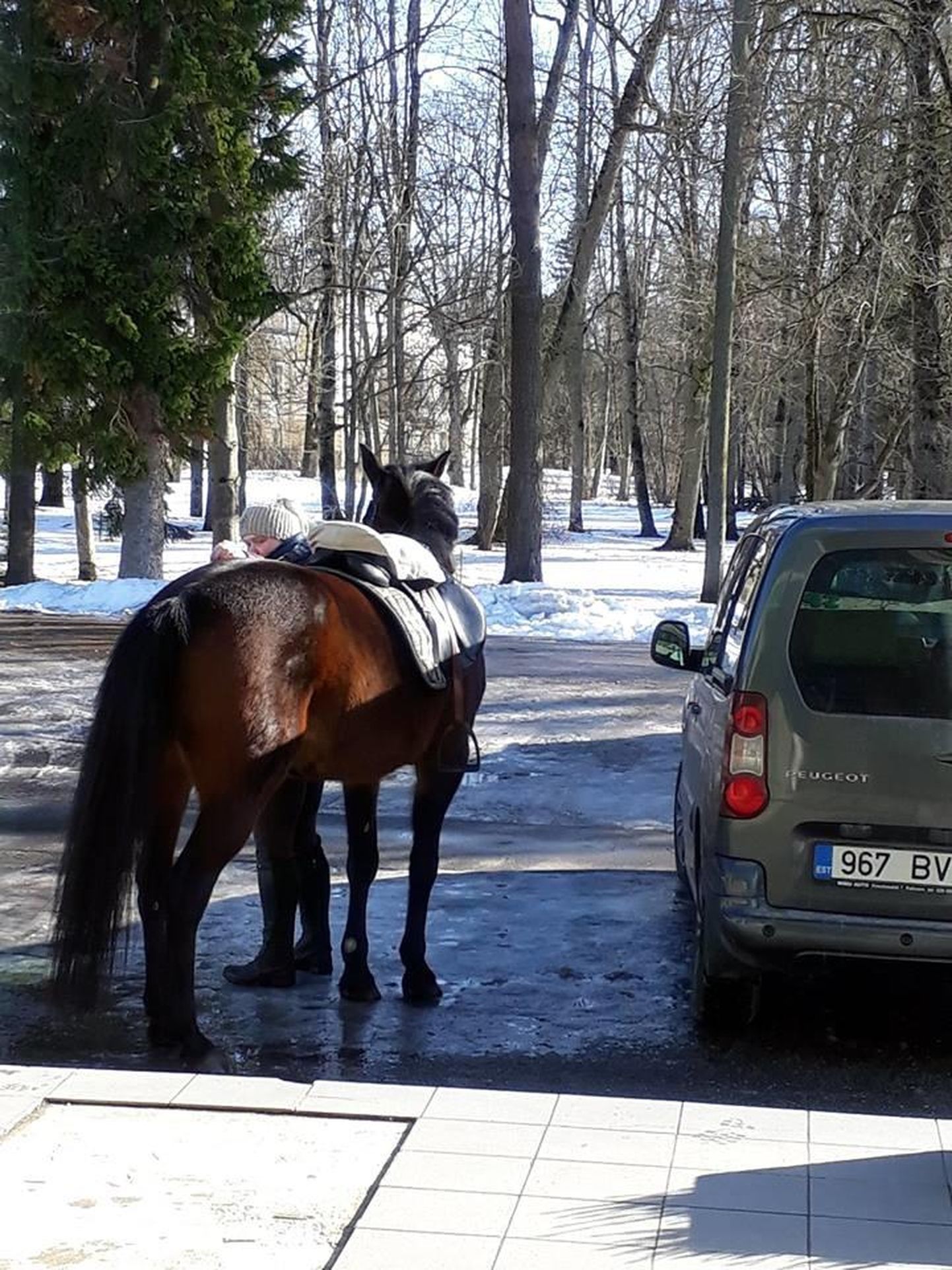 В волости Винни избирательница приехала на лошади.