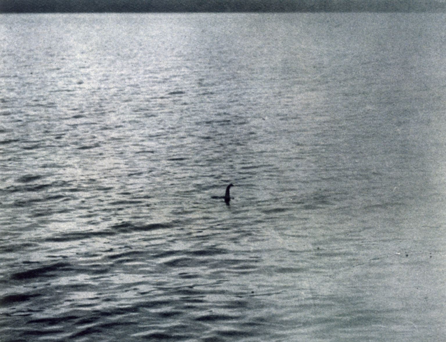 19. aprillil 1934 tehtud foto, millel on väidetavalt Loch Nessi koletis