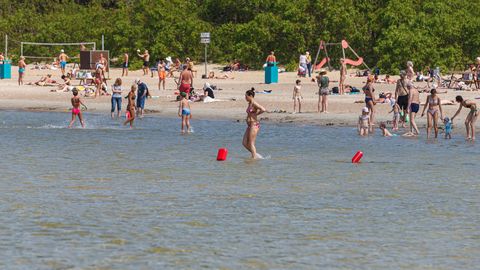 Плыть или не плыть? Температура воды на пляжах Эстонии достигает почти 20 градусов