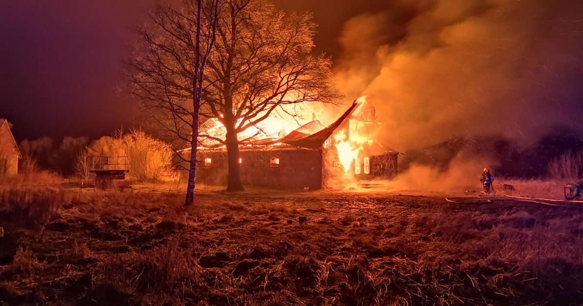 В Тосненском районе пёс в одиночку пережил пожар