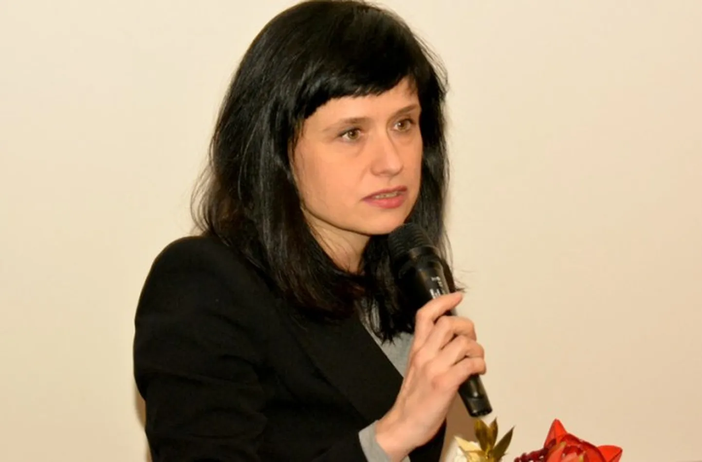 Raksta foto