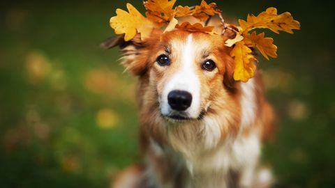 Trešdien laikapstākļi būtiski nemainīsies