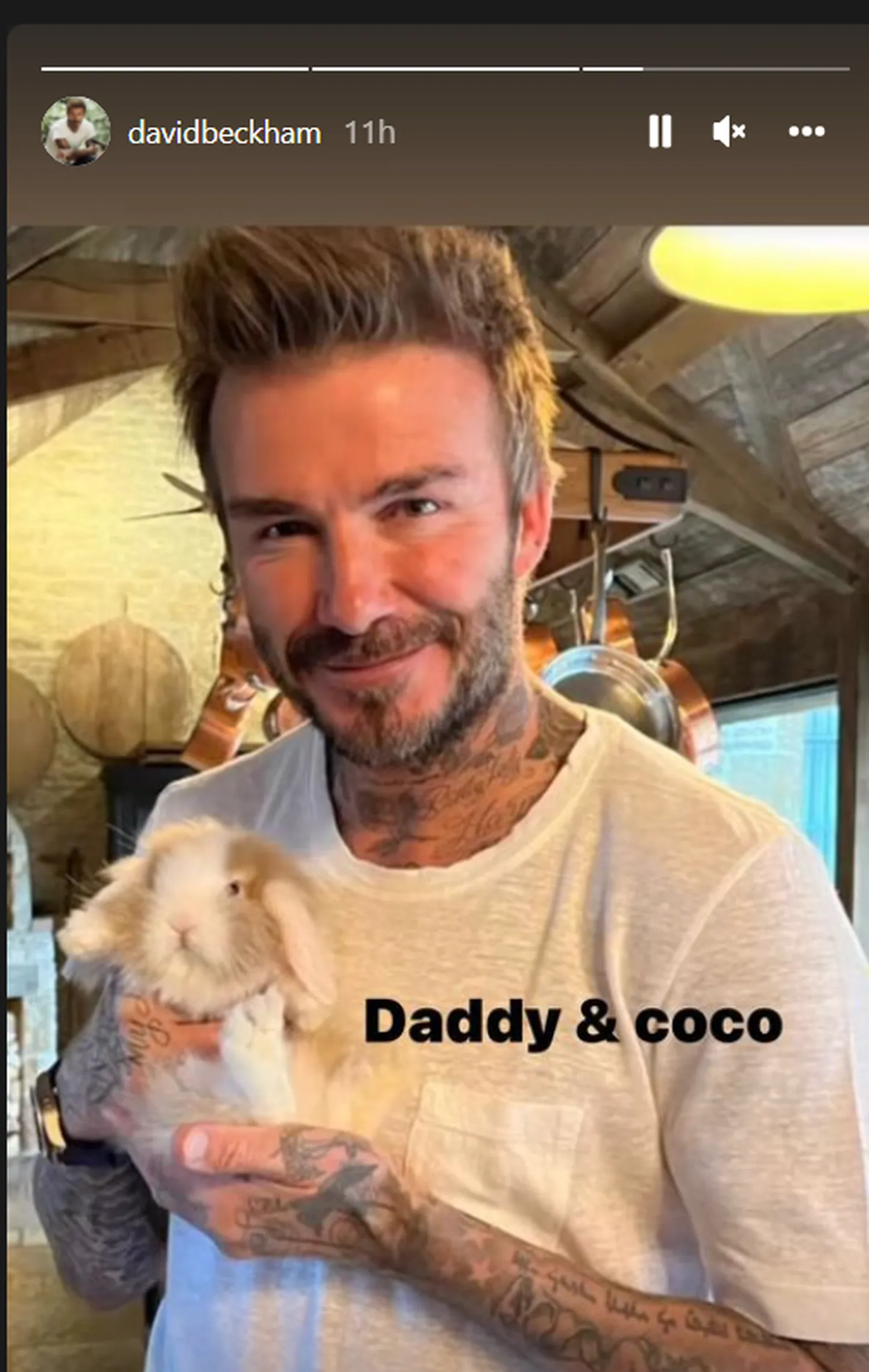 David ja Coco