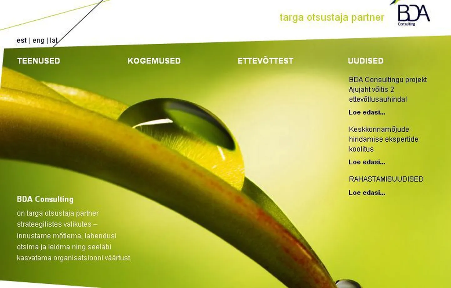 Fragment BDA Consulting'i veebilehest.